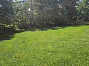 Kara B.'s Lawn Mowing service result