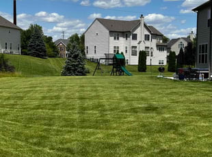 Ron S.'s Lawn Care service result