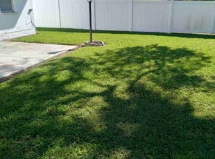 Megan M.'s Grass Cutting service result
