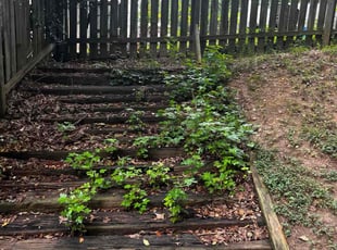 Cleanups by C.J. Cooley for Michelle R. in Powder Springs, GA
