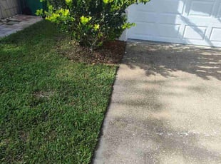 Weeding by Tammy Becker for John L. in Melbourne, FL