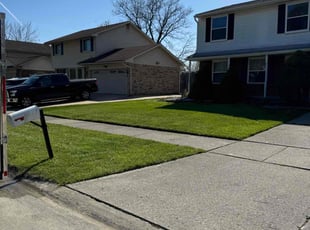 Jackie J.'s Yard Cutting service result