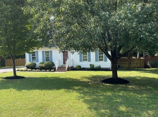 Cleanups by Clinton Johnson for Lauren C. in Mechanicsville, VA