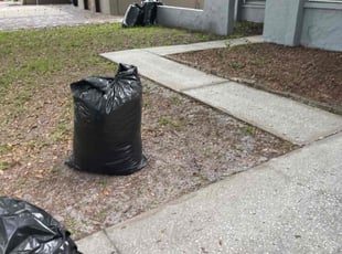 Leaf Removal by Alain Beckfordxx for Tanya E. in Tampa, FL