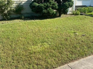 Bush Trimming by Alejandro Monterrosa for Tina S. in Odenton, MD