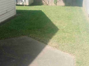 Laqunda W.'s Lawn Mowing service result
