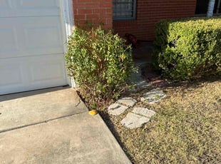 Bush Trimming by Carlos Arteaga for Jennifer Z. in San Antonio, TX