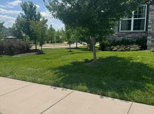Deb D.'s Lawn Mowing Service service result