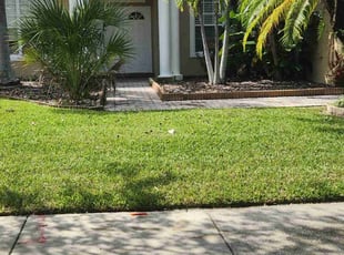 Marcel B.'s Lawn Maintenance service result