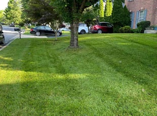 Marielouise T.'s Grass Cutting service result