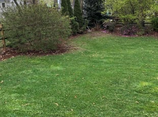 Leaf Removal by Kenneth Lagger for John T. in Sylvania, OH