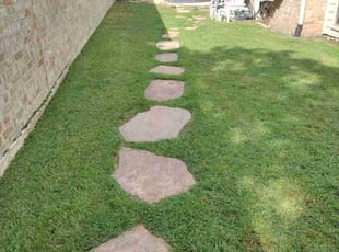 barbara g.'s Grass Cutting service result