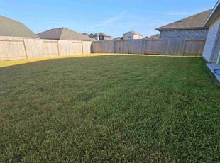 Suzanne G.'s Lawn Service service result