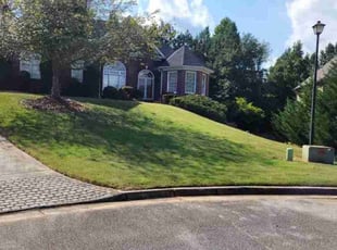 Regina C.'s Lawn Mowing Service service result