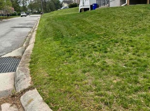 Richard S.'s Lawn Service service result
