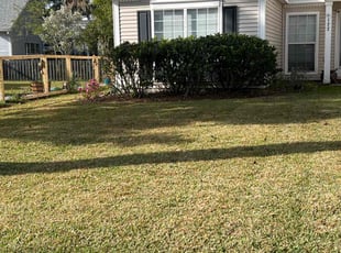 Leaf Removal by Brian Stephenson for Matthew H. in Charleston, SC