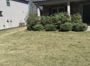 Bush Trimming by Cameron Bishop for Simon J. in Simpsonville, SC