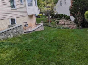 Ed M.'s Lawn Service service result