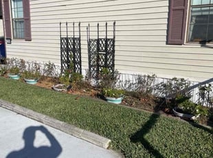 Bush Trimming by Ashley Fleck for Vicki L. in Jacksonville, FL