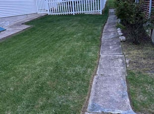 Lamar C.'s Grass Cutting service result