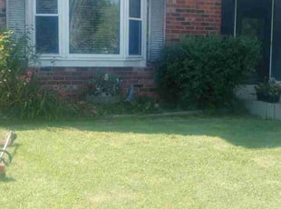 Peter C.'s Lawn Mowing Service service result