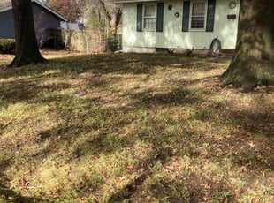 Leaf Removal by Tim Kirkpatrick for Lorinda N. in Lee's Summit, MO
