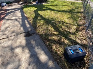Leaf Removal by Jorge Aguilar for Andrea W. in Dallas, TX
