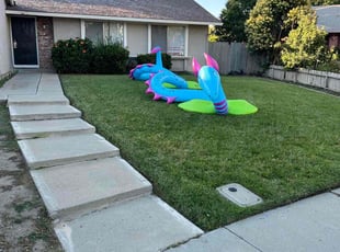 James P.'s Lawn Maintenance service result