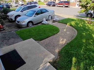 Ian G.'s Lawn Service service result