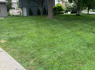 Steven L.'s Lawn Mowing service result