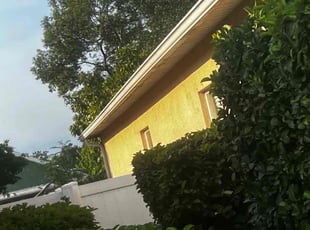 Bush Trimming by Withman Herrera for Zachary B. in Orlando, FL