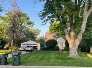 Susan S.'s Lawn Mowing service result