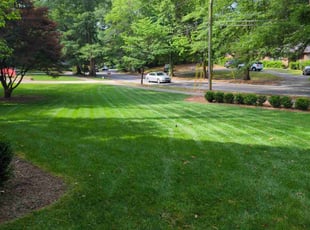 Ha L.'s Lawn Mowing Service service result