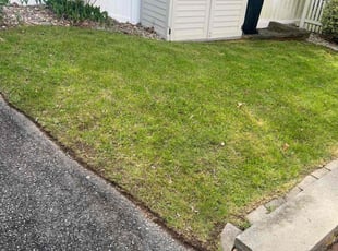 Alisa B.'s Lawn Service service result