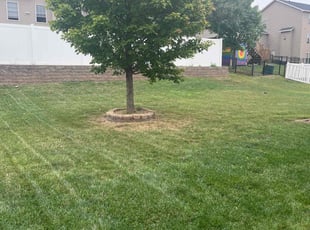 Kevin D.'s Lawn Service service result