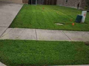 Jendayi A.'s Lawn Care service result