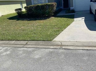 Bush Trimming by Jordan Davis for Anamaris R. in Davenport, FL
