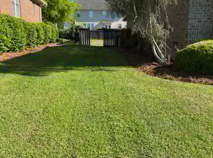Maria G.'s Lawn Maintenance service result