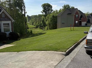 Vik K.'s Lawn Mowing Service service result