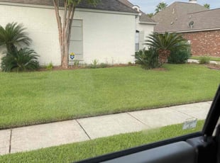 Ted H.'s Lawn Care service result