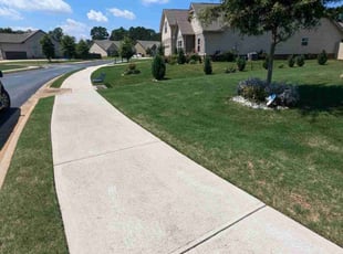 Ashlee B.'s Lawn Mowing service result