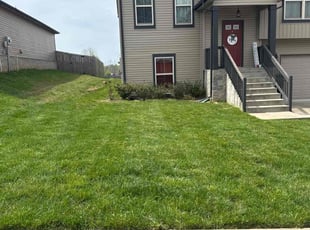 Hayde I.'s Lawn Care service result
