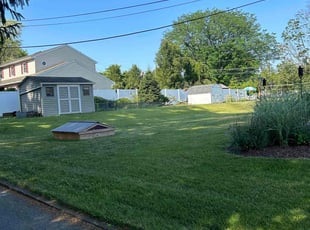 Brittney D.'s Grass Cutting service result
