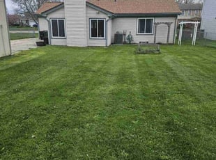 Desiree F.'s Grass Cutting service result