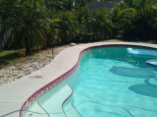Weeding by Corey Johnson for Joey G. in Palm Bay, FL