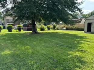 Stacey C.'s Lawn Care service result