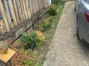Weeding by Melvin Pryor for Fatuma H. in Nashville, TN
