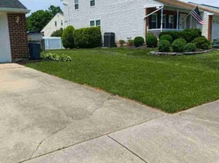 Alexis r.'s Yard Cutting service result