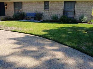 Ree H.'s Lawn Care service result