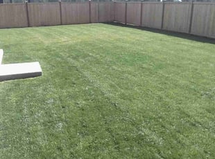Tonya E.'s Lawn Service service result